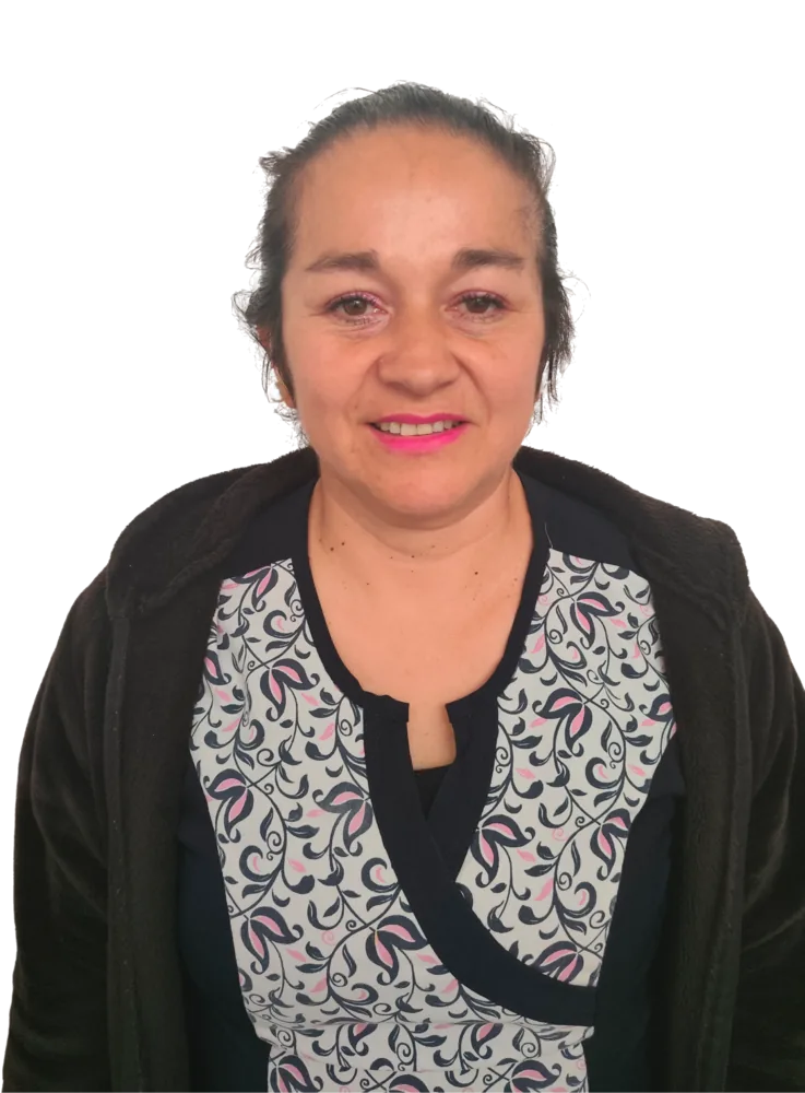 Auxiliar de Mantención del Colegio San Agustín